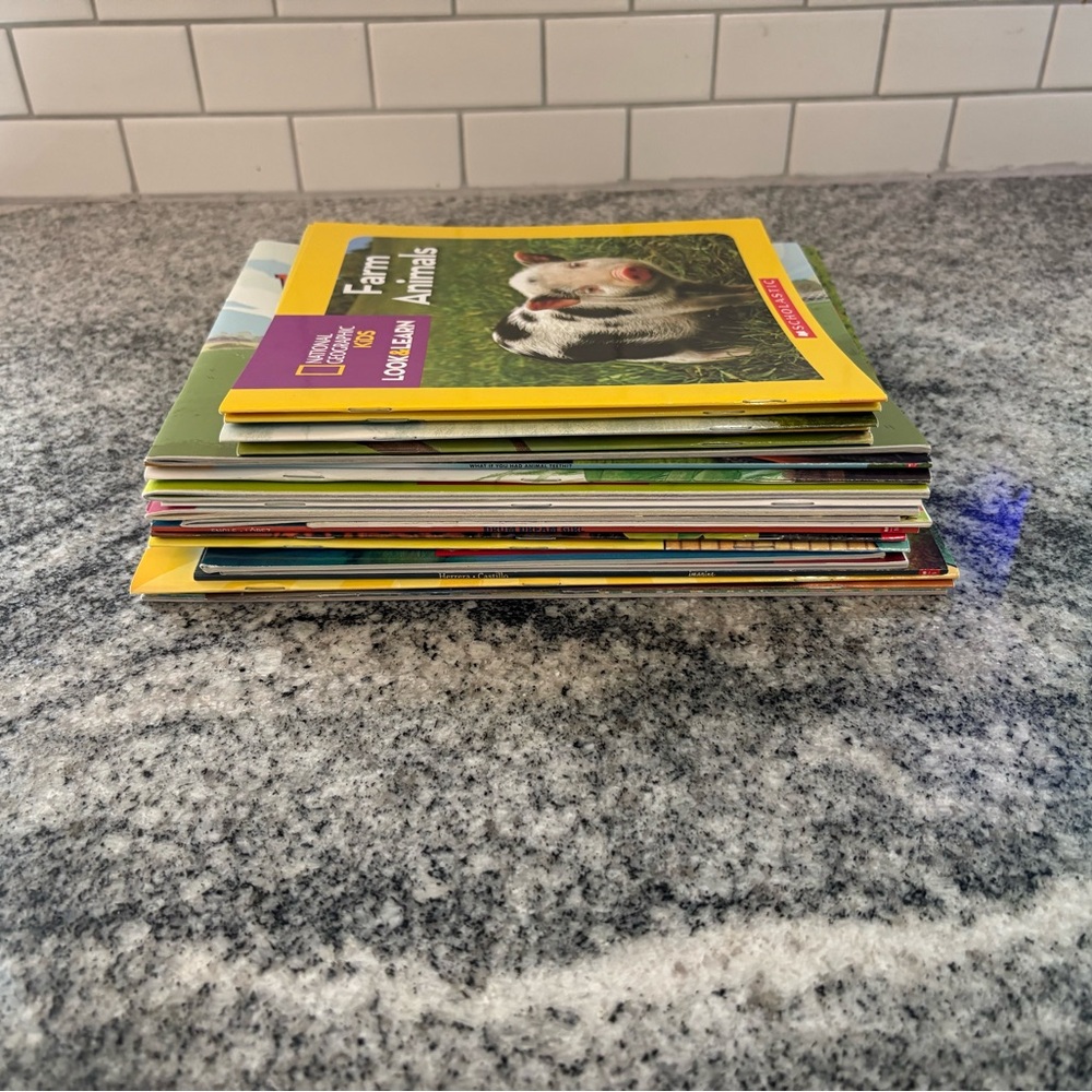 Lot of 22 Scholastic Books